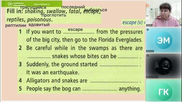 Английский язык 6 класс. Минигруппы2 27.11.2024