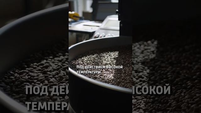 Что такое реакция Майяра? #horeca #интересно #полезно #бариста