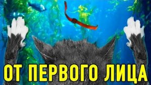 КОРОЧЕ ГОВОРЯ, Я УТОНУЛА! ОТ ПЕРВОГО ЛИЦА ГЛАЗАМИ КОШКИ КИСЫ АЛИСЫ