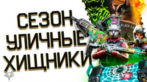 НОВЫЙ СЕЗОН УЛИЧНЫЕ ХИЩНИКИ УЖЕ В ВАРФЕЙС 2024!НОВАЯ МЕТА,БП,РМ,ПВЕ СПЕЦОПЕРАЦИЯ И ПОДАРКИ WARFACE!