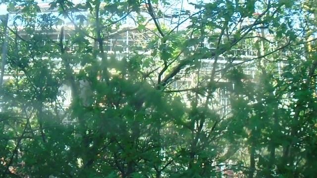 Лейпциг. Трамвай NGT8. Перерыв между рейсами на временной конечной остановке смотреть онлайн