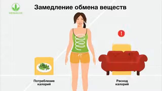 Обмен веществ Гербалайф