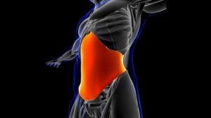 Фитнес методика. Что такое мышцы кора CORE. Павел Артемьев