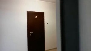 Лифты МогилёвЛифтМаш 2015 год выпуска в новостройки (594)