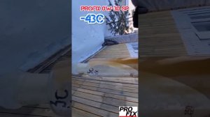 PROFIX 0W-30 SP ARCTIC 🥶 // -43C ❄️