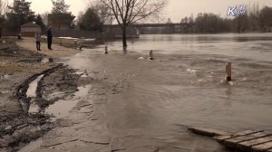 Паводковая ситуация в Зарайске.  (набережная)