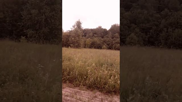 Природа Тульской области/3 смотреть онлайн