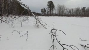 Первый лёд! В этом прекрасном ручье ее кишит!