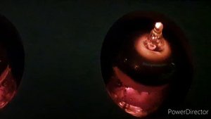 Dire Straits - You and Your Friend