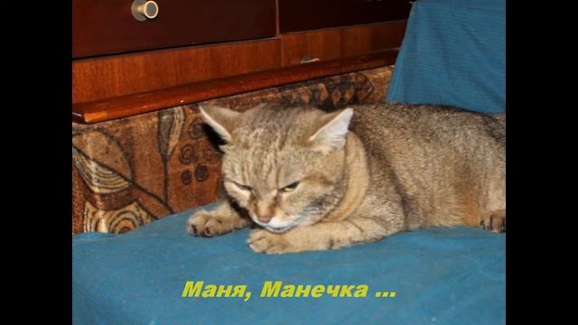 Все мои удачные и памятные фотографии. Часть 20
