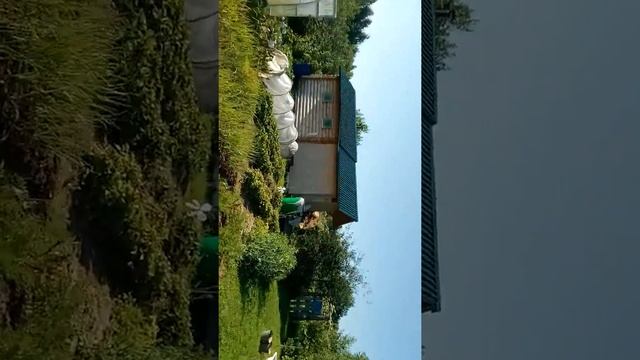 Уезжаю, рассказываю все что было смотреть онлайн