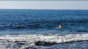 27 ноября МОРЮШКО. ТУРЦИЯ 2024.