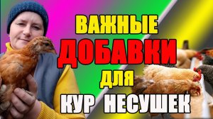 Важные  ДОБАВКИ для наших несушек.