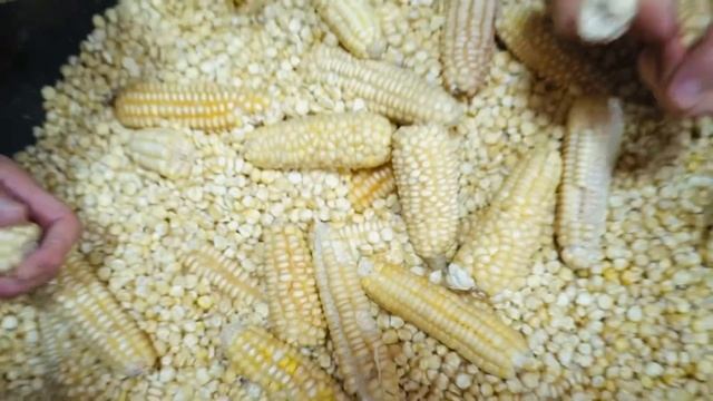 Hadidja - Унцукуль