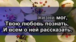 Жизнь посвящаю Тебе