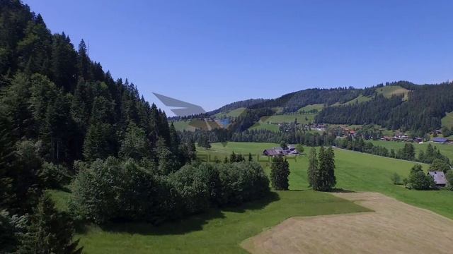 Aerial Stock | Forest Eigenthal | Switzerland смотреть онлайн