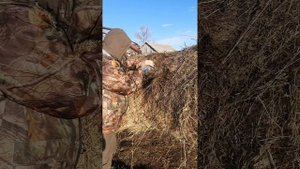 хранение сена ,эксперимент дедовским способом