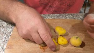 Пробуем Kei apple, Dovyalis caffra -- экзот из Южной Африки.