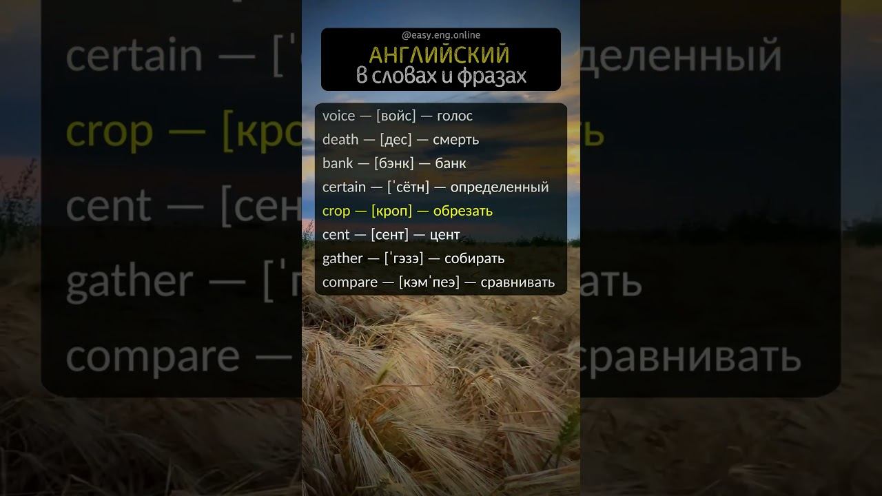 🤓 ОБУЧЕНИЕ АНГЛИЙСКОМУ ЯЗЫКУ | 🚀 Повышение уровня английского: запоминание английских слов