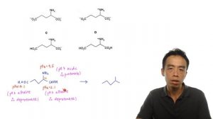 2019 P1 Q25 - Deduce Major Species for Glutamic Acid at pH 7