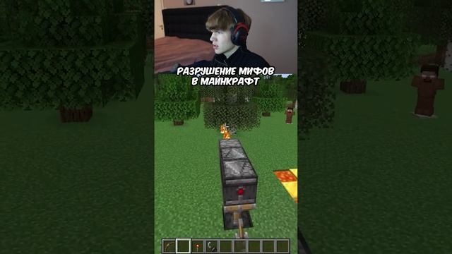 Разрушение Мифов в Майнкрафт! 🤯 #shorts #minecraft #майнкрафт #мем #мемы #реакция #лисфокс #lisfox