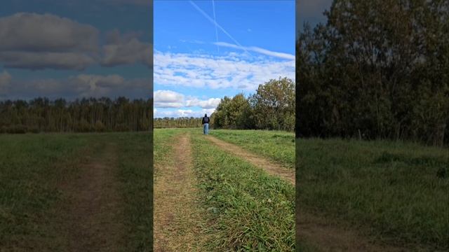 Прогулка на свежем воздухе самое лучшее бесплатное средство для поддержания здоровья