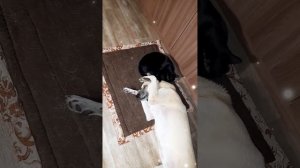 Мои подружки!