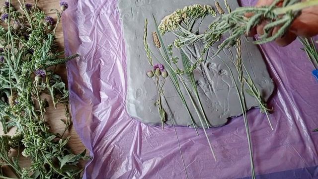 БАРЕЛЬЕФ ИЗ ТРАВ и ЦВЕТОВ СВОИМИ РУКАМИ / ботанический барельеф