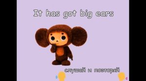 body parts 1 (face and head)