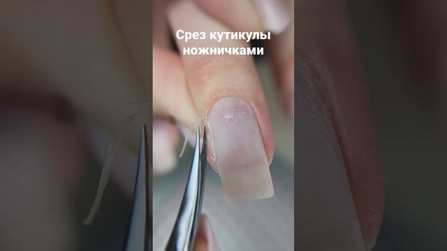 срез кутикулы #маникюр #комби #комбиманикюр #комбинированныйманикюр #ножнички #ножничкидлякутикулы
