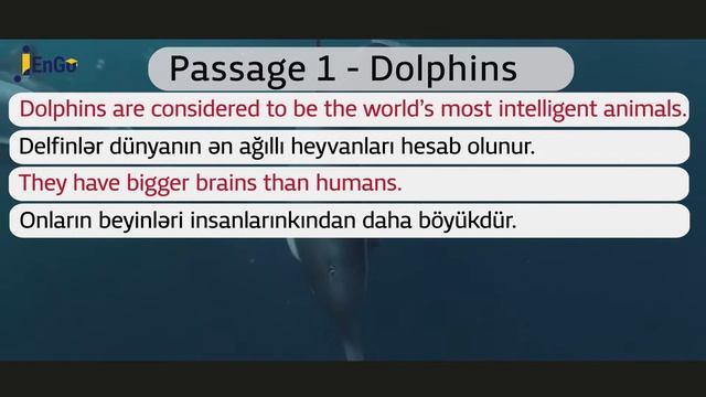 Delfinlər. Dolphins. Passage 1. DİM 1-ci hissə və DİM 2-ci hissə test toplusu смотреть онлайн