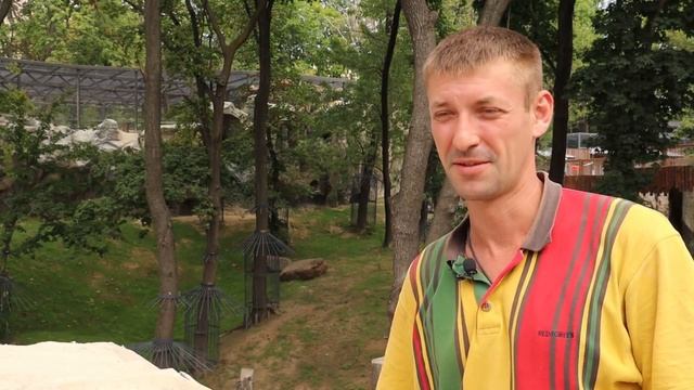 Ведмежі володіння