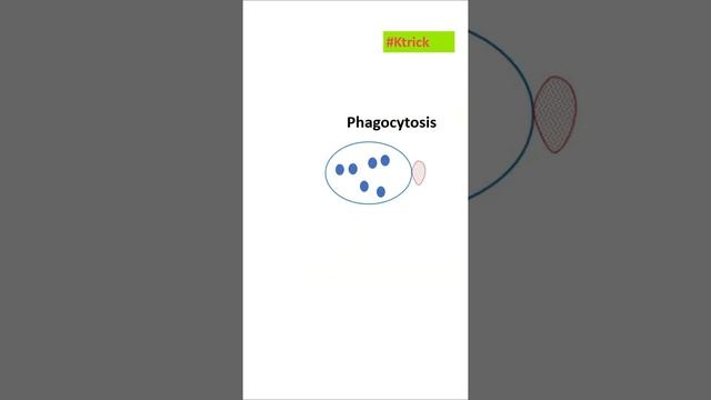 (Short Ktrick) Main Phagocytic Cells I NEET I Dr Kunal Tatte (KT)