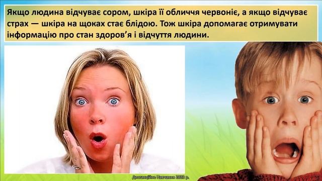 Пізнаємо природу. Урок 49. Із чого складається організм людини