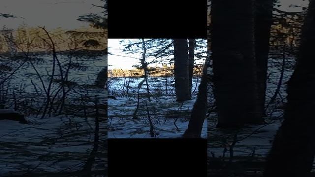 1000015642.mp4
