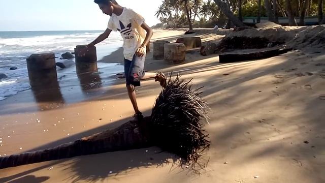 Mentol bro смотреть онлайн