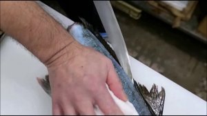 Разделка рыб и приготовление суши. Осака. Япония. Слабонервным не смотреть