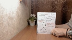 #221 Рамки. Биолокация. О Хрониках Акаши. Часть-1