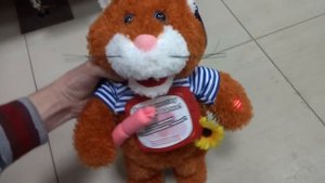 игрушка кот, кошка, очаровательные глазки
