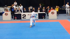 PH u Karateu 2020 Zagreb - FINALE veterani 50+ ( Amir Rešidović )