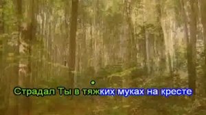 Гимны надежды 94 Тебе пою, мой дивный Иисус(-)