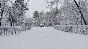 Снегопад в Благовещенске 27.11.2024
