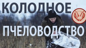 Колодное пчеловодство колодами, скрученными из картона