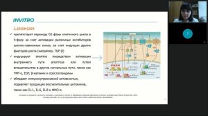 Витамин D в клинической практике