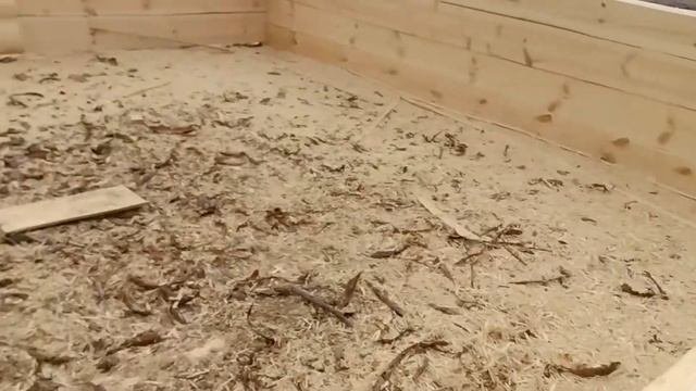 Производство сруба 4 на 6 в получашу и полулафет с верандой