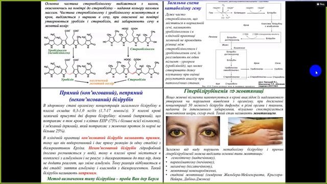 Біохімія печінка 2 частина