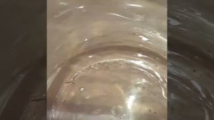 Мгновенное снятие позолоты,  без дополнительных затрат, всё очень просто.