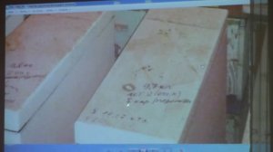 Промышленное пчеловодство 500 пчелосимей Скрыпник В.