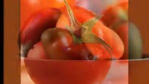 Hermès Un Jardin Sur Le Nil