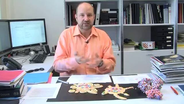 Origin of Follicular Dendritic Cells смотреть онлайн